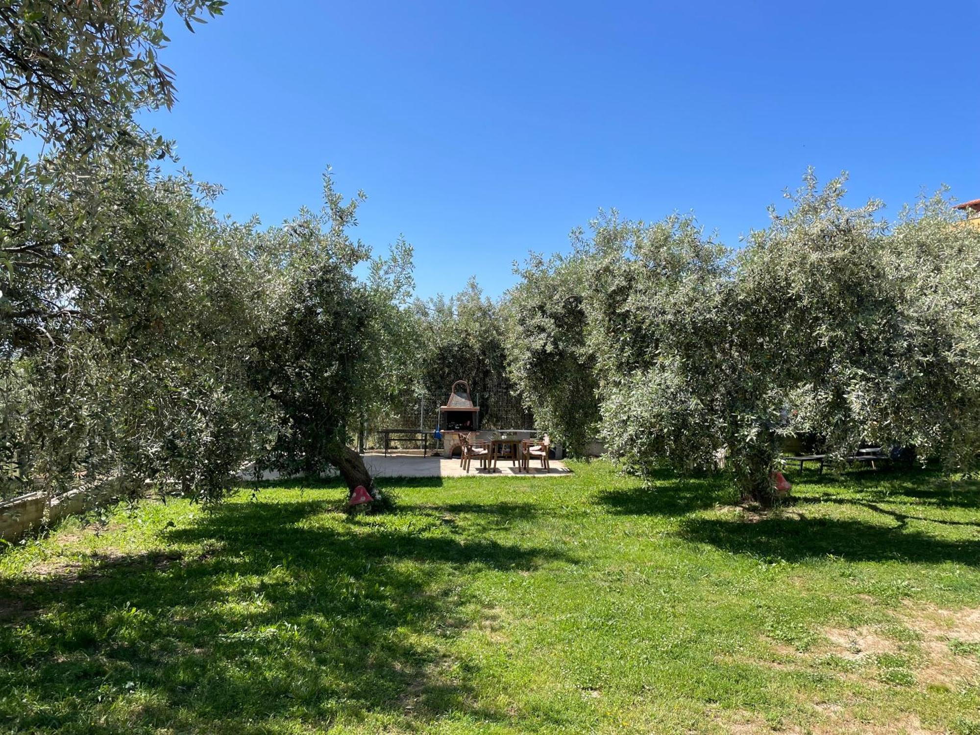 Discovery Villas Limenaria  Dış mekan fotoğraf